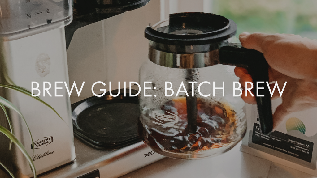 Brew Guide: Batch Brew