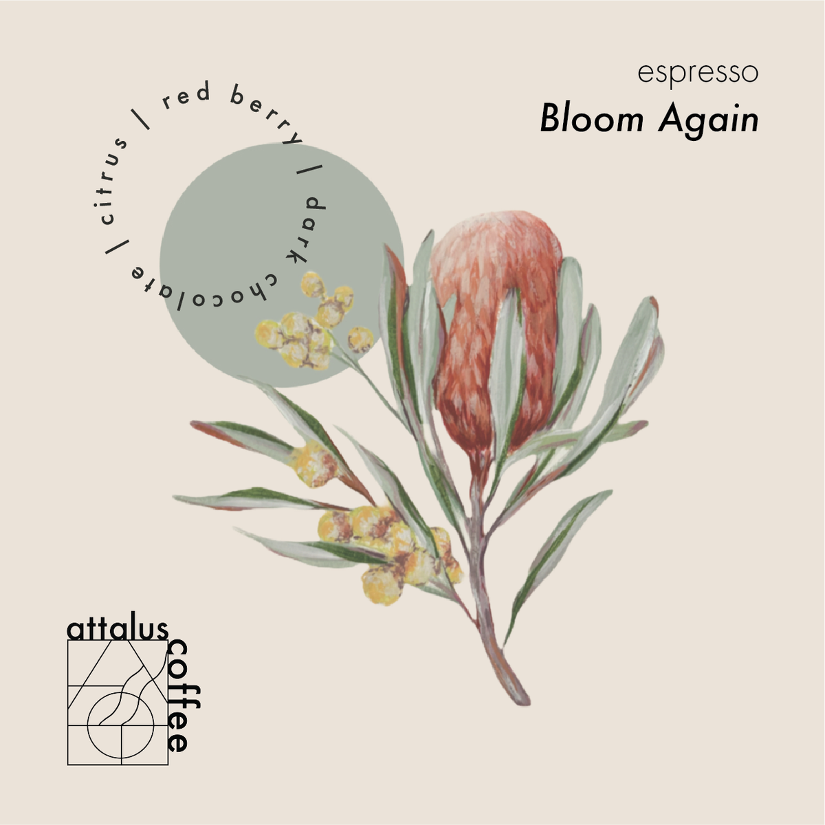BLOOM♡RISE 　STATUSY il modo Air Bloom Again | Espresso – attaluscoffee