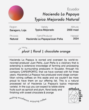 Hacienda La Papaya Typica Mejorado Natural | Ecuador