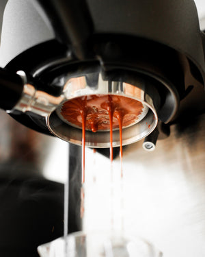 Bloom Again | Espresso